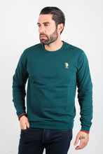 Load image into Gallery viewer, SWEATER NECK PRO