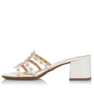 SANTE MULE