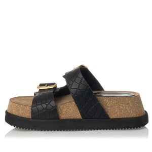 SANTE FLAT