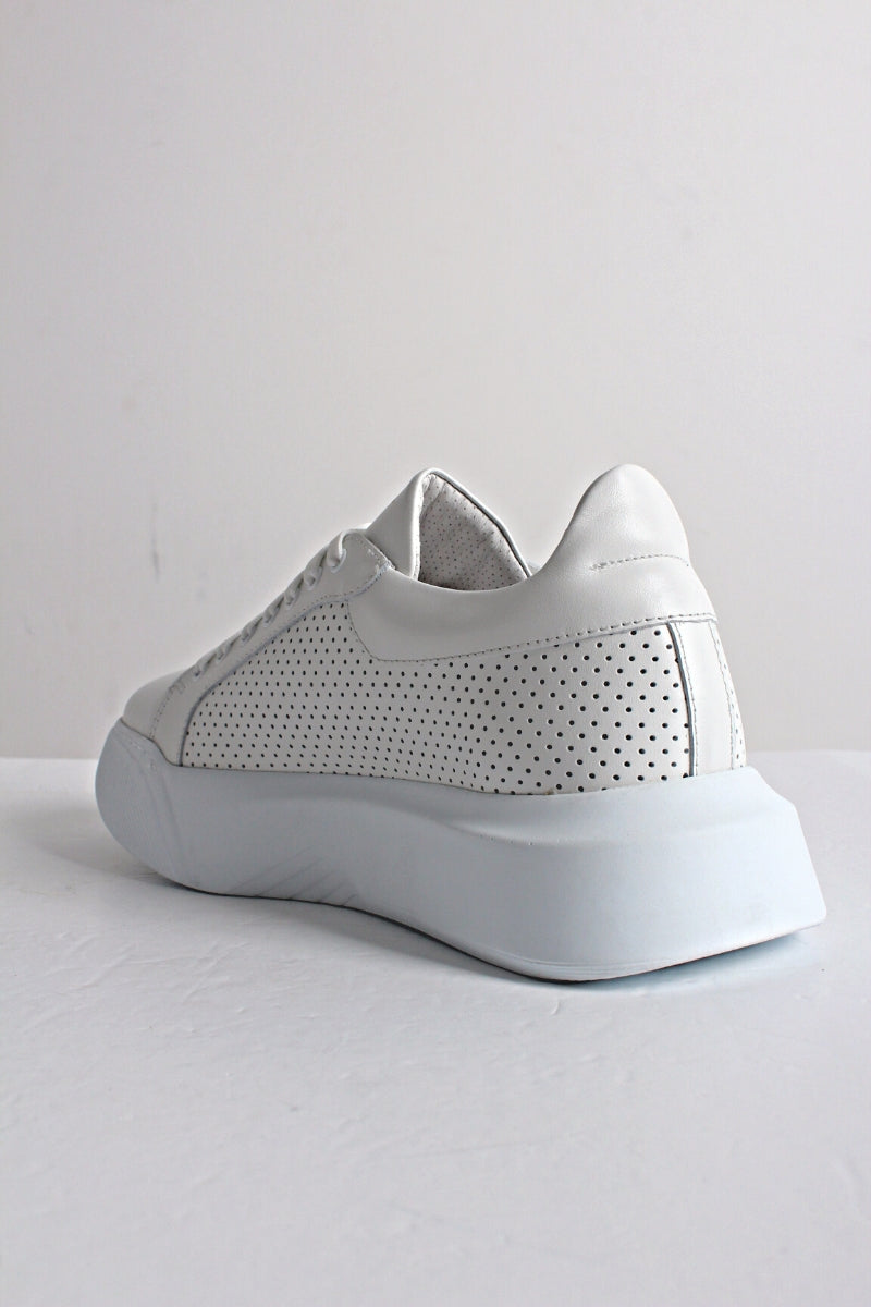 23SFM2214