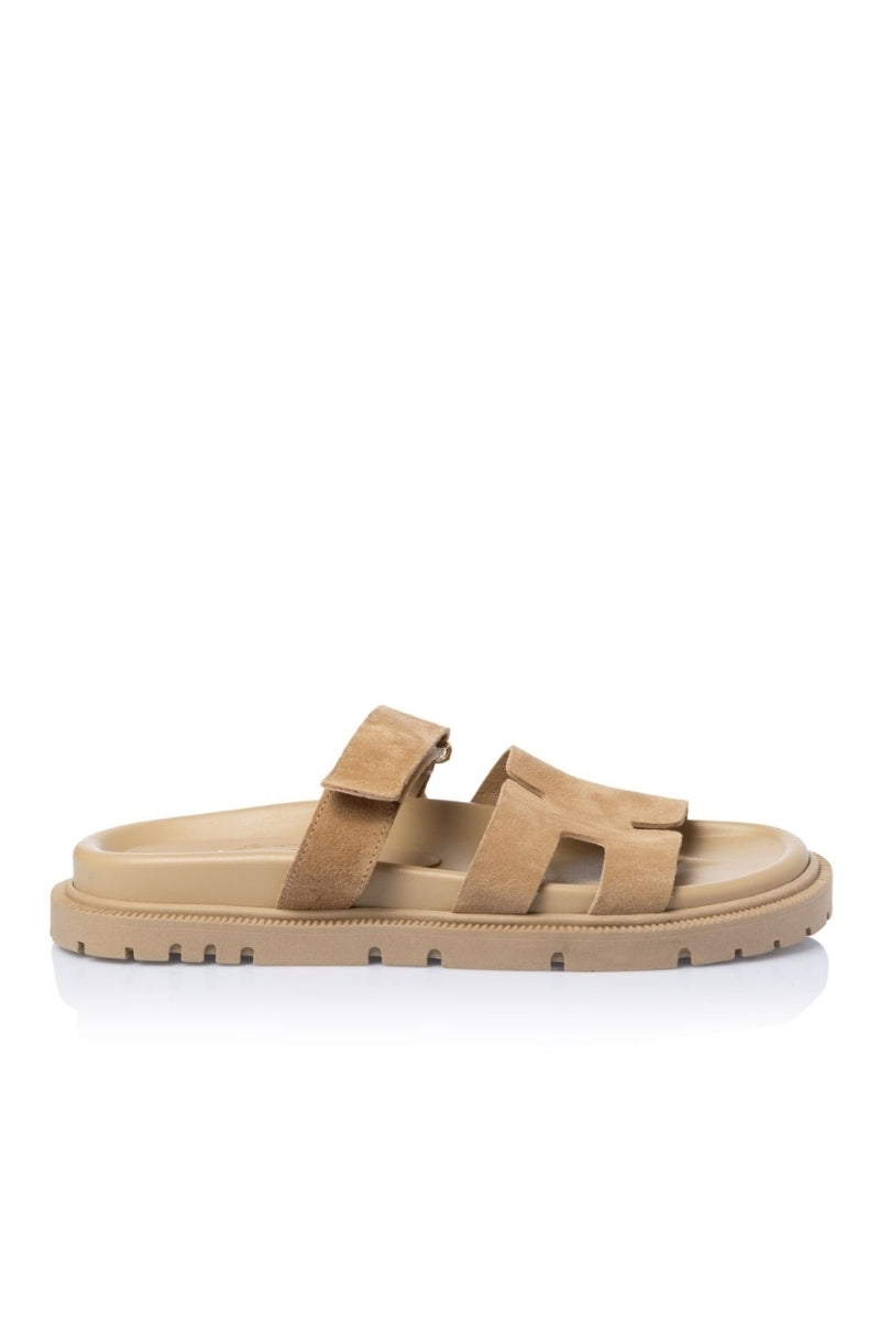 BEIGE / 36