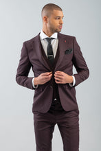 Load image into Gallery viewer, 100-2425-BARI SUIT