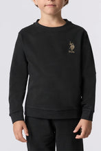 Load image into Gallery viewer, SWEATER PRO