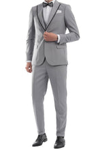Load image into Gallery viewer, 100-24-VENEZZIA WEDDING SUIT