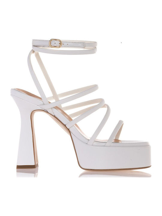 WHITE / 36