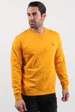 Load image into Gallery viewer, SWEATER PRO 63027 60695