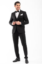 Load image into Gallery viewer, 100-23-VENEZZIA WEDDING SUIT