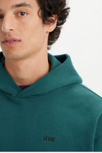 Load image into Gallery viewer, GOLD TAB HOODIE