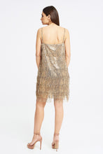 Load image into Gallery viewer, DRESS