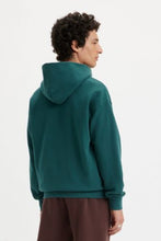Load image into Gallery viewer, GOLD TAB HOODIE