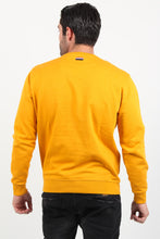Load image into Gallery viewer, SWEATER PRO 63027 60695