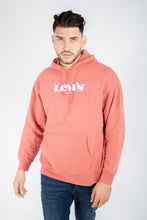 Load image into Gallery viewer, T2 RELAXED GRAPHIC PO MV LOGO HOODIE