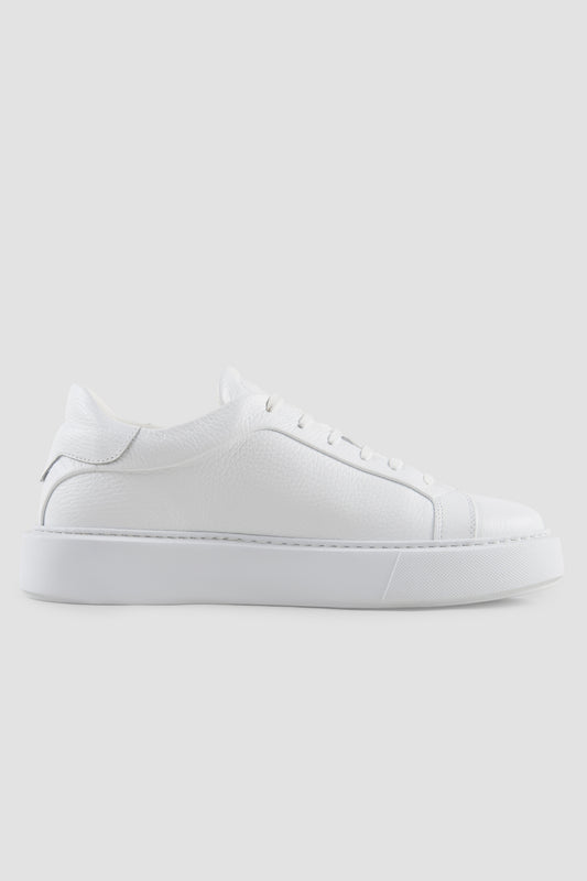 SNEAKER ARTEM